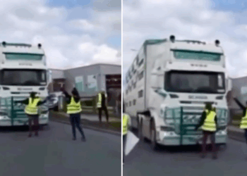 Chauffeur heeft genoeg van klimaatactivisten en geeft plankgas: “Dit hoef je bij mij niet te proberen”