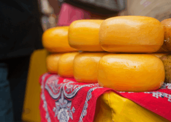 Nederlandse boeren nemen het heft in eigen handen: boerderijwinkels schieten als paddenstoelen uit de grond