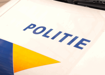 Net binnen: verdachte in zaak-Lisa (17) gelinkt aan drie misdrijven