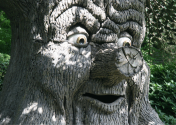 Nieuw Efteling-hotel opent: prijzen voor overnachten en eten verbazen bezoekers