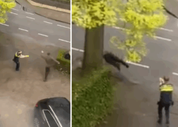 Politie is er klaar mee: man denkt te ontsnappen maar maakt kennis met een taser