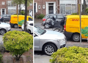 VIDEO: Appende fietser kijkt niet en klapt vol achterop DHL-bus