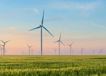 VIDEO: Boer haalt windmolen neer met zijn tractor na ruzie met gemeente