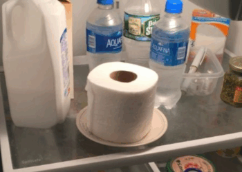 Waarom steeds meer mensen een rol wc-papier in de koelkast leggen