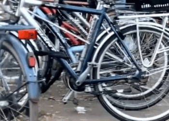 Winkeldief denkt gemakkelijk weg te komen, totdat deze glazenwassers hard ingrijpen