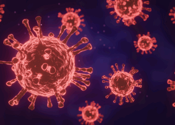 Zorgwekkend: Nieuw virus uit China nu al in 16 landen opgedoken