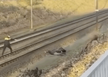 Agent haalt jongen van het spoor: harde ingreep zorgt voor discussie