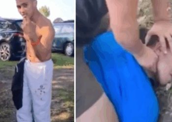 Bizarre beelden: Nederlandse mannen betrappen stelende nieuwkomers op camping