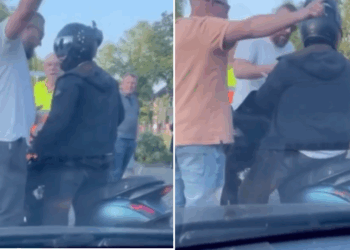 Bontkraagje denkt stoer te doen maar krijgt het met de verkeerde aan de stok