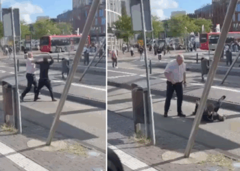 Buschauffeur is he-le-maal klaar met irritant jochie en zet hem hardhandig de bus uit