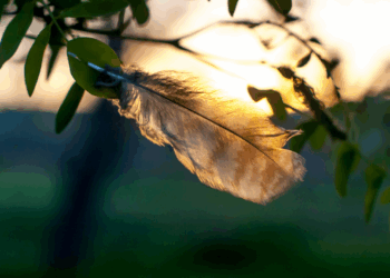 Herken jij deze 7 tekens? Zo laten overleden dierbaren weten dat ze dichtbij zijn