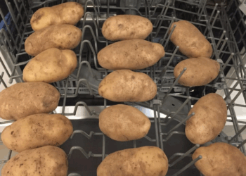 Wow! Leg eens aardappelen in de vaatwasser en je raad nooit wat er gebeurt!