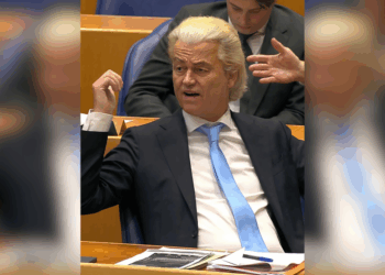 Nieuwe peilingen brengen rampscenario voor PVV dichterbij: ‘Kans op deelname kabinet slinkt’