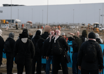 Vrachtwagenchauffeurs zijn het zat: havenblokkeerders eigenhandig van de weg gehaald