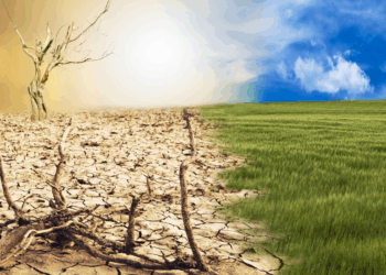 Economie boven klimaat: waarom de EU Green Deal afbouwt