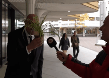 PVV zorgt voor ophef: PVV-kamerleden vertonen bizar gedrag tijdens interview