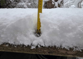 KNMI waarschuwt voor sneeuwval in déze provincie: tot 10 centimeter verwacht