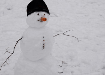 Sneeuwpop maken kan je geld kosten: in deze situaties riskeer je een boete