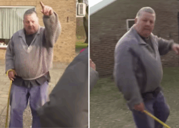 Verslaggever belaagd op boerderij na schokkende beelden van dierenmishandeling