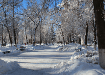 Weermodellen tonen verhoogde kans op winterweer tot in maart