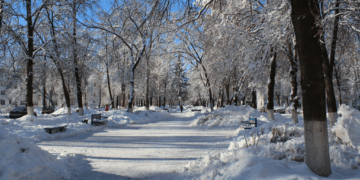 Weermodellen tonen verhoogde kans op winterweer tot in maart
