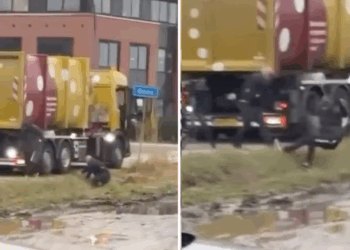 Ophef over beelden van confrontatie tussen vrachtwagenchauffeur en fietser: dit is wat er gebeurde
