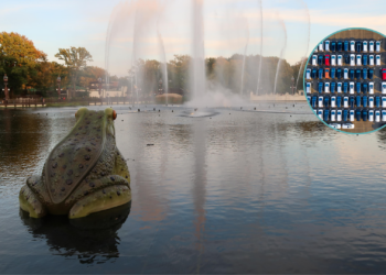 Efteling kiest voor duurzaam reizen: einde aan voordelig parkeren