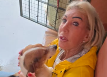 Hoeveel kost een verblijf bij B&B Vol Liefde-Caroline? Dit betaal je per nacht