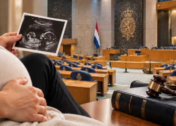 Abortus uit het strafrecht: PRO-Kamerlid Vliegenthart doet nieuwe poging